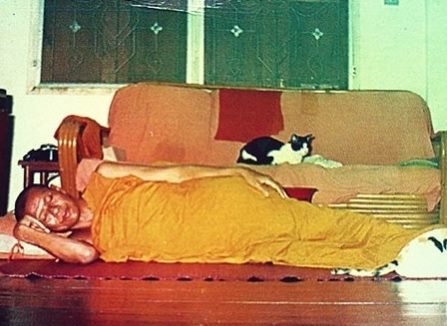 หลวงพ่อฤาษีลิงดำ26